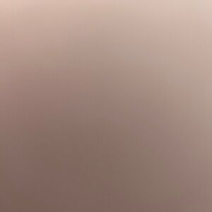 Meet your Posher, Chanie